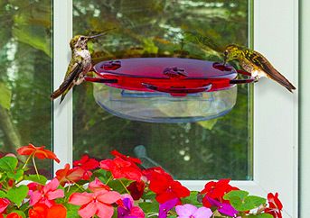 Window Bird Feeder